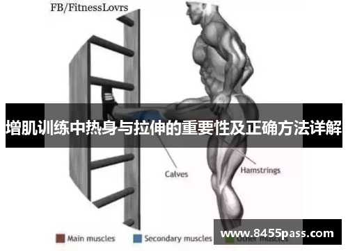 增肌训练中热身与拉伸的重要性及正确方法详解